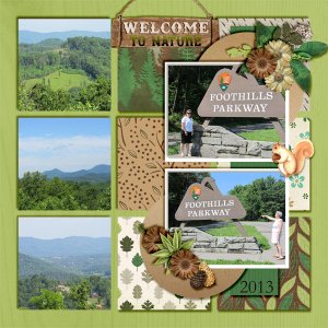 Foothills Parkway