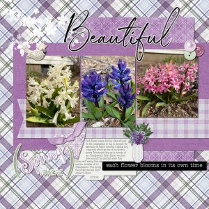 Hyacinths 3-23-24