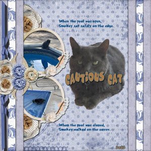 Cautious Cat