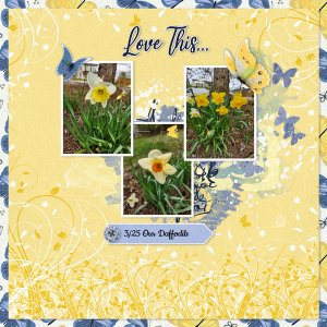 3/2024 Inspiration Challenge