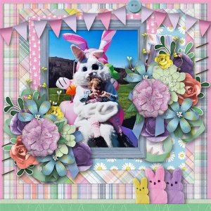Big Bunny