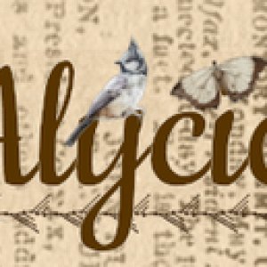 3/2024 Siggy Challenge