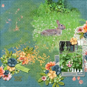Garden Bunny