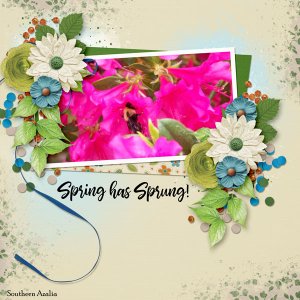 Spring has Sprung