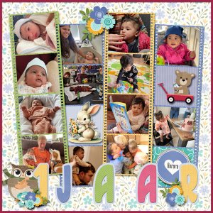 1 Jaar Aurora