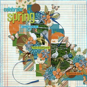 Celebrate Spring