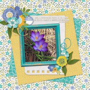 First Spring flowers
