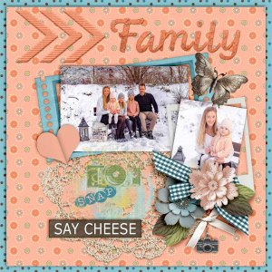 Family178