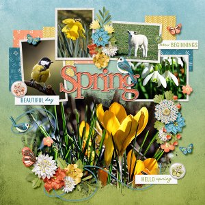 Lovely Spring