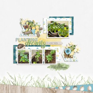 Planting Dreams