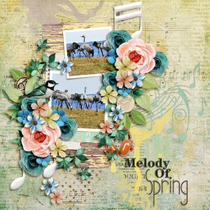Spring Moments
