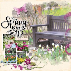 spring is in the air