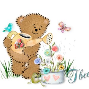 Siggy Flower Showers