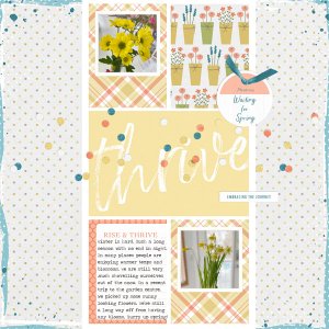 Thrive | J Conlon and Sons