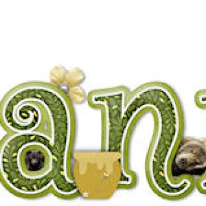 April 2024 Siggie