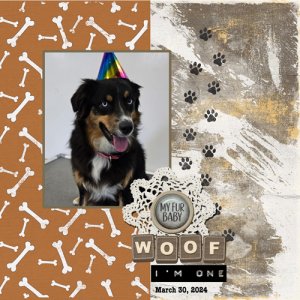 2024-03-30-Mojo Birthday 1