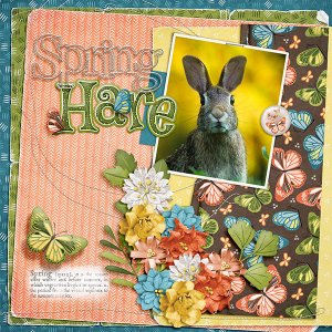 Spring Hare