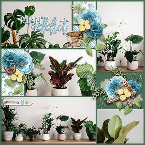 plant addict