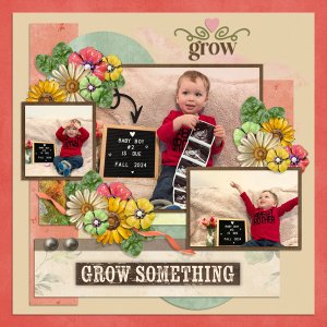 Growing Something-Karen Schulz + Tami Miller