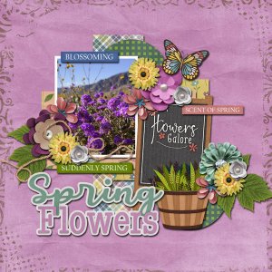 spring flowers
