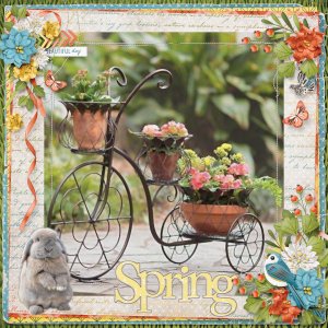Spring Rabbit