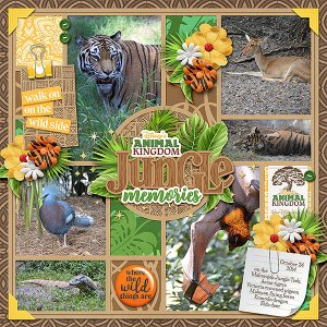 Maharajah Jungle Trek