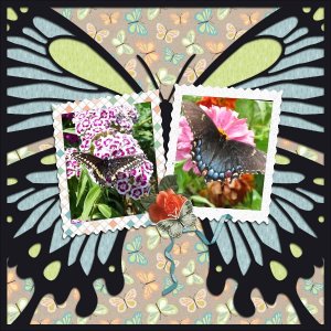 Mini Kit Butterflies