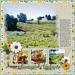 Vineyard Treehouse