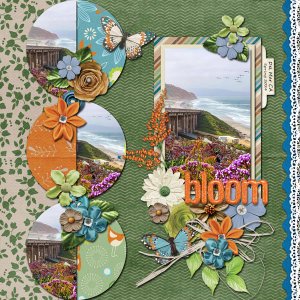 bloom