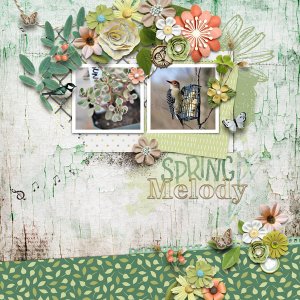 Spring Melody