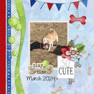 just-pawfect-lindsay-jane