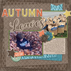 2024_11_03-B-AutumnLeaves