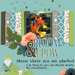 Bloom + Grow