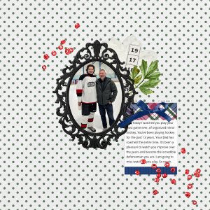 Pretty Poppies | JConlonandsons