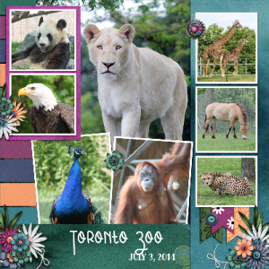Toronto Zoo R
