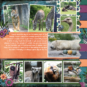 Toronto Zoo L