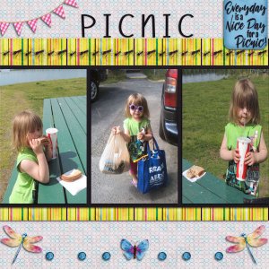 Picnic