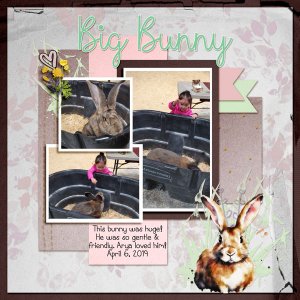 Big Bunny