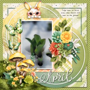 April Tulips Emerging 20204