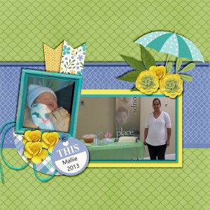 Baby Shower for Mallie
