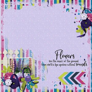 May Flowers