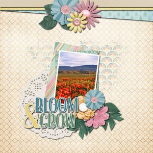bloom and grow