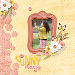 Sunny Days
