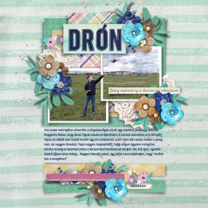 Drone