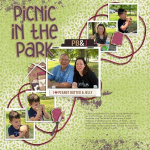 Picnic in Centennial Park (Nashville) 6.6.2023