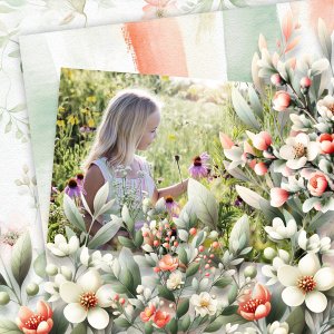 Where Have All The Flowers Gone