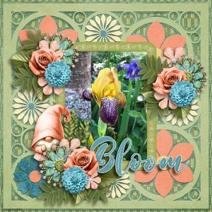 Bloom