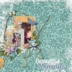 Beautiful Memories
