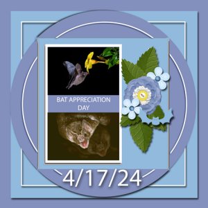 Bat Appreciation Day