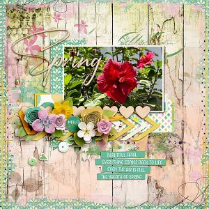 spring-copy6